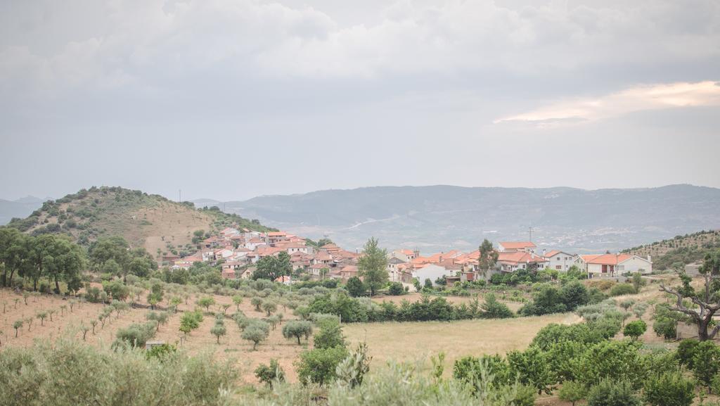 Вилла Bela Vista Silo Housing Алфандега-да-Фе Экстерьер фото