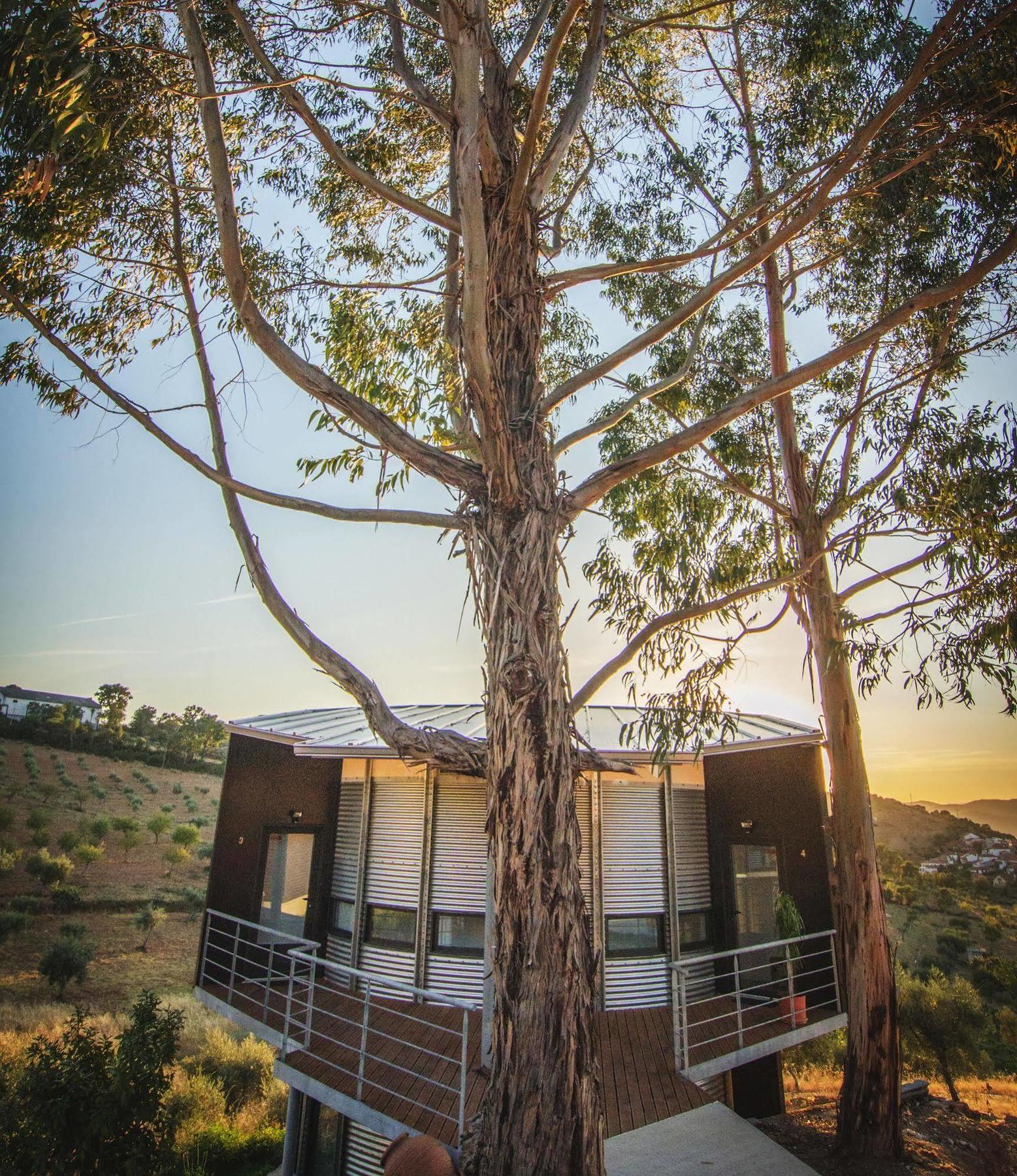 Вилла Bela Vista Silo Housing Алфандега-да-Фе Экстерьер фото